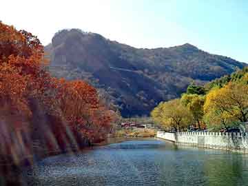 管家婆黑白马报图库，都市修神人全文阅读